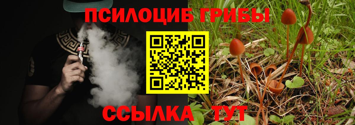 Галлюциногенные грибы прущие грибы  наркота  Норильск  Вход с VPN  Псилоцибиновые грибы MAGIC MUSHROOMS 